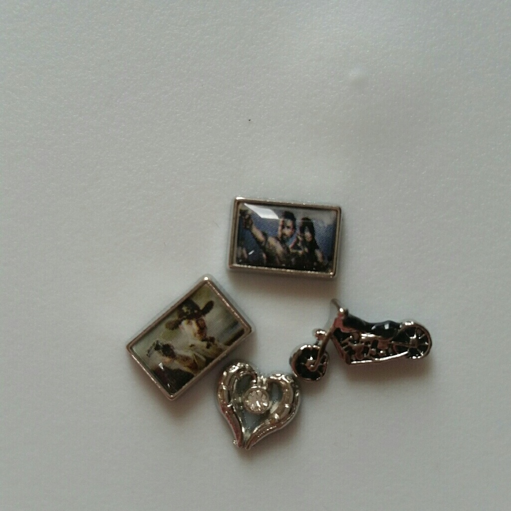 Walking dead daryl dixon float charm orgami owl